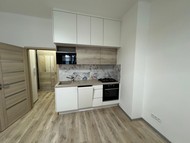 Nabízíme pronájem bytu 1kk 34m2, Petrohradská …